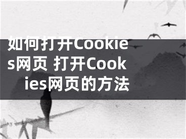 如何打开Cookies网页 打开Cookies网页的方法