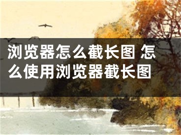 浏览器怎么截长图 怎么使用浏览器截长图 