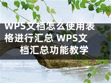 WPS文档怎么使用表格进行汇总 WPS文档汇总功能教学