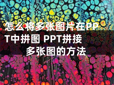 怎么将多张图片在PPT中拼图 PPT拼接多张图的方法