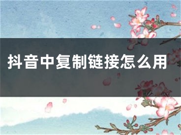 抖音中复制链接怎么用