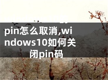 windows10的pin怎么取消,windows10如何关闭pin码