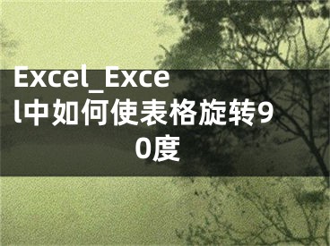 Excel_Excel中如何使表格旋转90度 