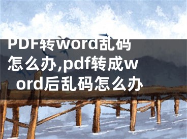 PDF转word乱码怎么办,pdf转成word后乱码怎么办