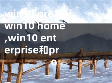 win10 pro和win10 home,win10 enterprise和pro