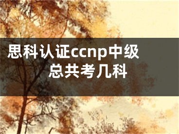 思科认证ccnp中级总共考几科