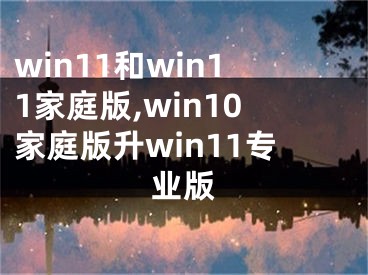 win11和win11家庭版,win10家庭版升win11专业版