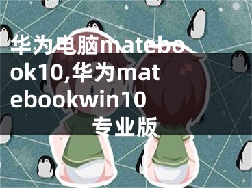 华为电脑matebook10,华为matebookwin10专业版