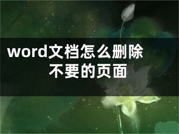 word文档怎么删除不要的页面