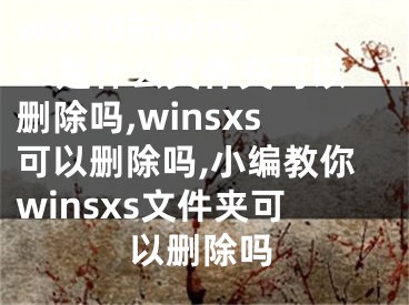 win10的winsxs是什么文件夹可以删除吗,winsxs可以删除吗,小编教你winsxs文件夹可以删除吗