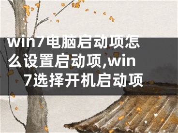 win7电脑启动项怎么设置启动项,win7选择开机启动项