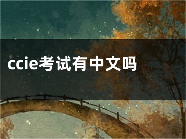 ccie考试有中文吗