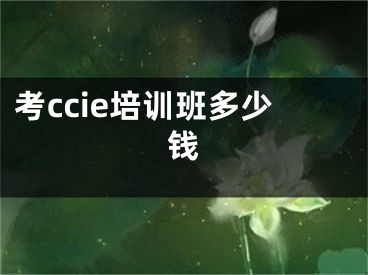 考ccie培训班多少钱