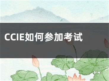 CCIE如何参加考试