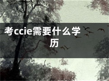 考ccie需要什么学历