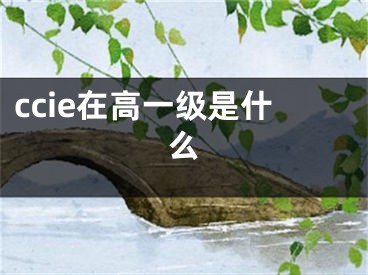 ccie在高一级是什么