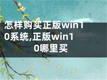 怎样购买正版win10系统,正版win10哪里买