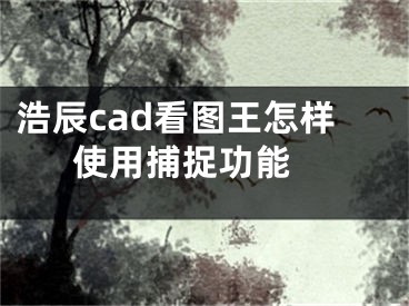 浩辰cad看图王怎样使用捕捉功能 