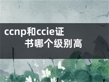 ccnp和ccie证书哪个级别高