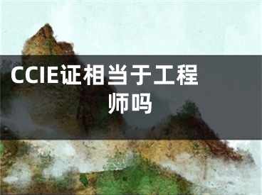 CCIE证相当于工程师吗