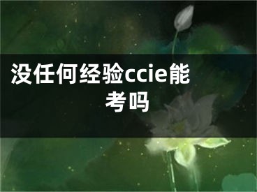 没任何经验ccie能考吗 