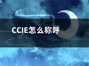 CCIE怎么称呼