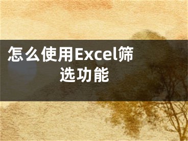 怎么使用Excel筛选功能 