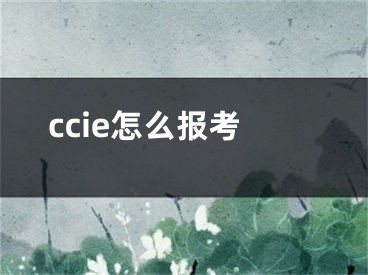 ccie怎么报考