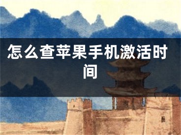 怎么查苹果手机激活时间