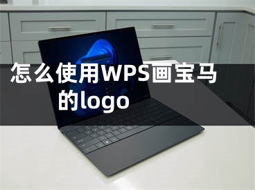 怎么使用WPS画宝马的logo 