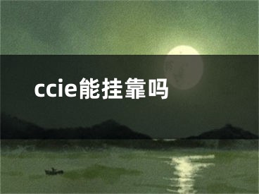 ccie能挂靠吗