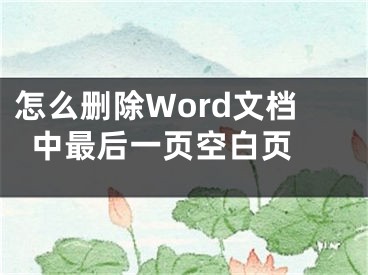 怎么删除Word文档中最后一页空白页 