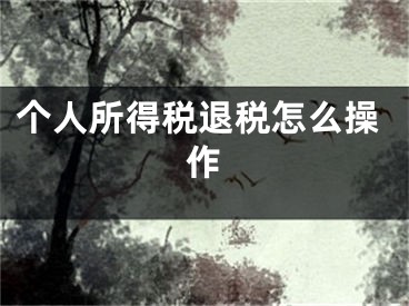 个人所得税退税怎么操作 