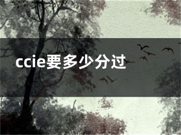 ccie要多少分过