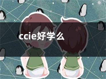 ccie好学么