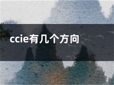 ccie有几个方向