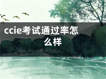 ccie考试通过率怎么样