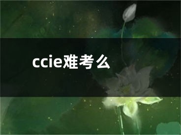 ccie难考么