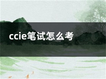 ccie笔试怎么考