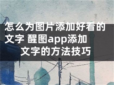 怎么为图片添加好看的文字 醒图app添加文字的方法技巧