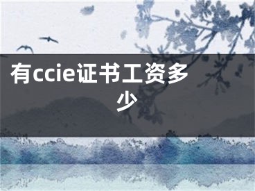 有ccie证书工资多少