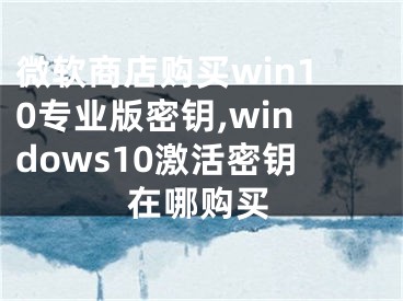 微软商店购买win10专业版密钥,windows10激活密钥在哪购买