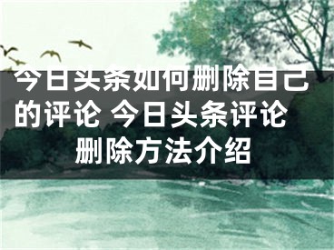 今日头条如何删除自己的评论 今日头条评论删除方法介绍