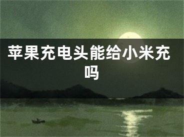 苹果充电头能给小米充吗