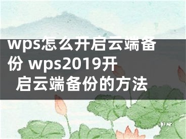 wps怎么开启云端备份 wps2019开启云端备份的方法 