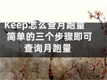 Keep怎么查月跑量 简单的三个步骤即可查询月跑量 