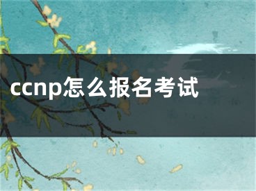 ccnp怎么报名考试