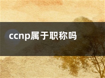 ccnp属于职称吗