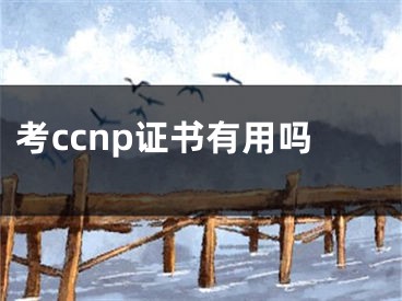 考ccnp证书有用吗