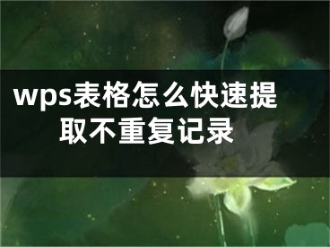 wps表格怎么快速提取不重复记录 